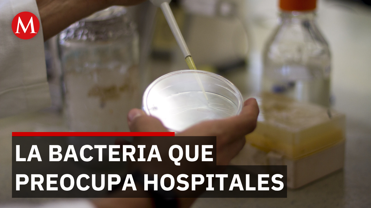 UNAM explica qué es la superbacteria resistente a antibióticos que alerta a la OMS