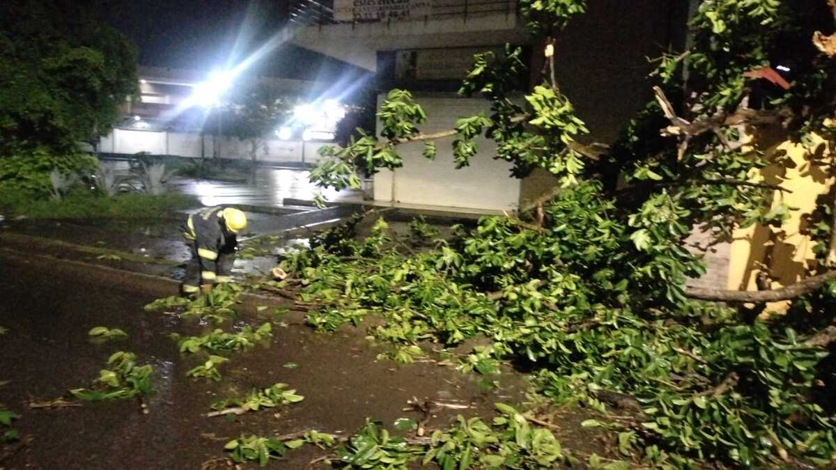 Los elementos de Protección Civil y Bomberos realizaron obras para recuperar el cuerpo de la menor. (Cortesía PC Jalisco)
