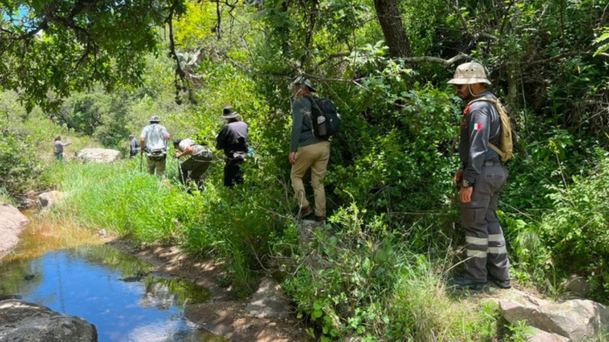 El hallazgo ocurrió la tarde de este domingo al interior de un cuerpo de agua. | Gobierno de San Miguel de Allende