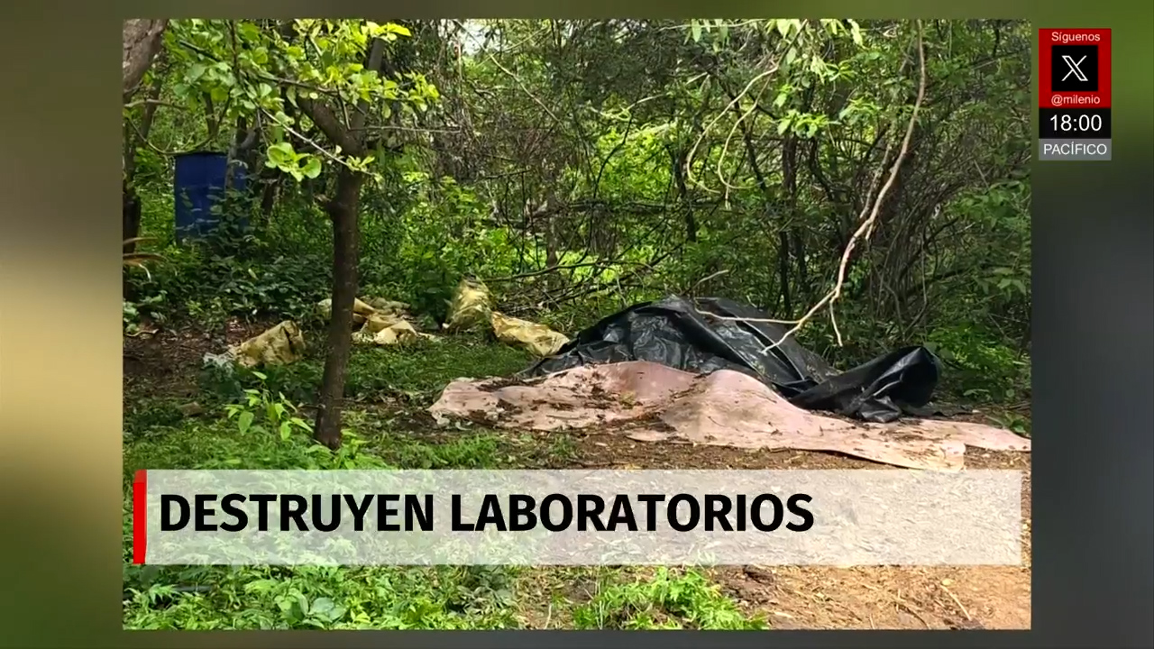 Milenio Noticias, con Norma García, 01 de agosto de 2026