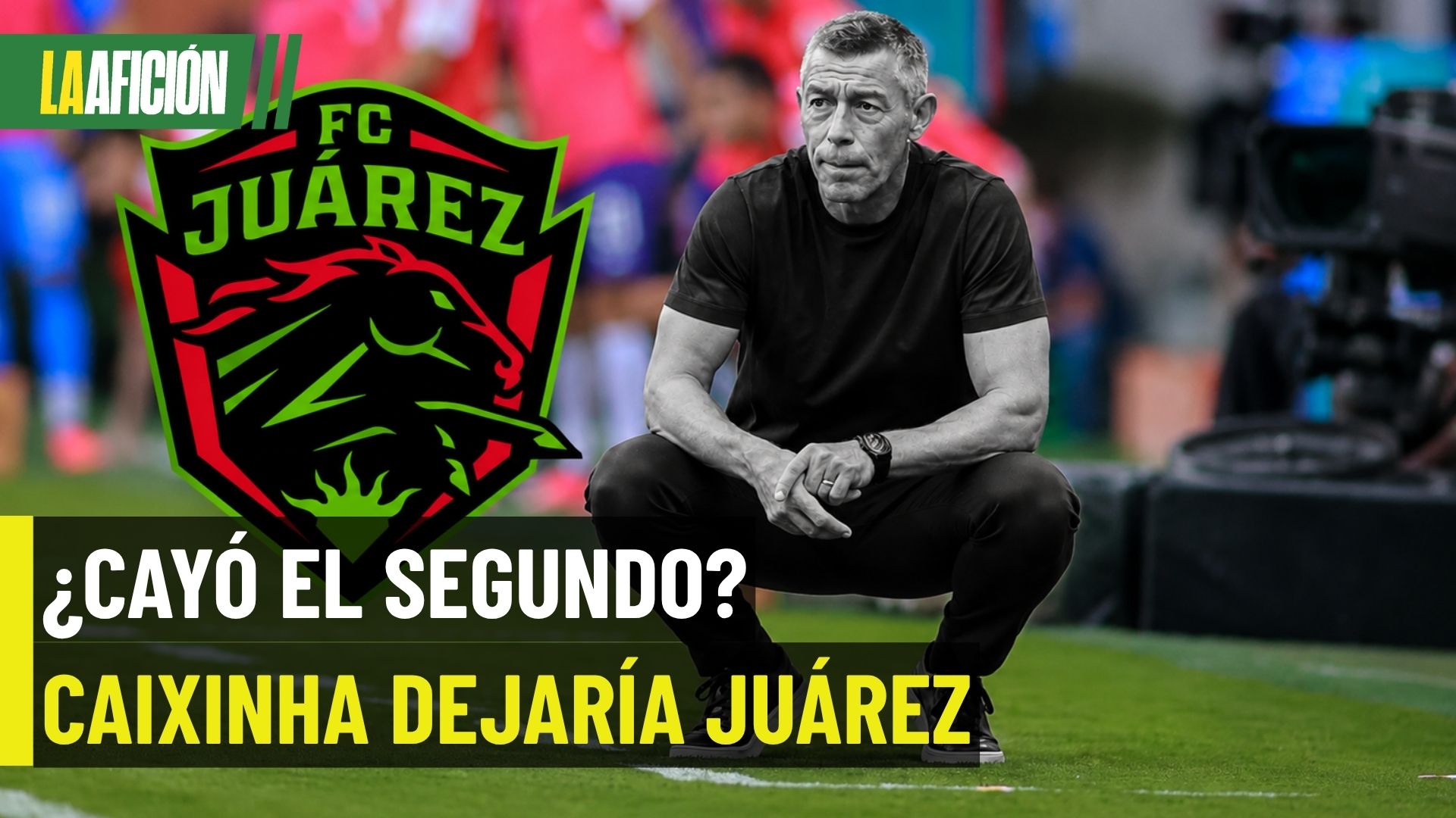 ¿Pedro Caixinha se va? El DT dejaría el banquillo de Bravos