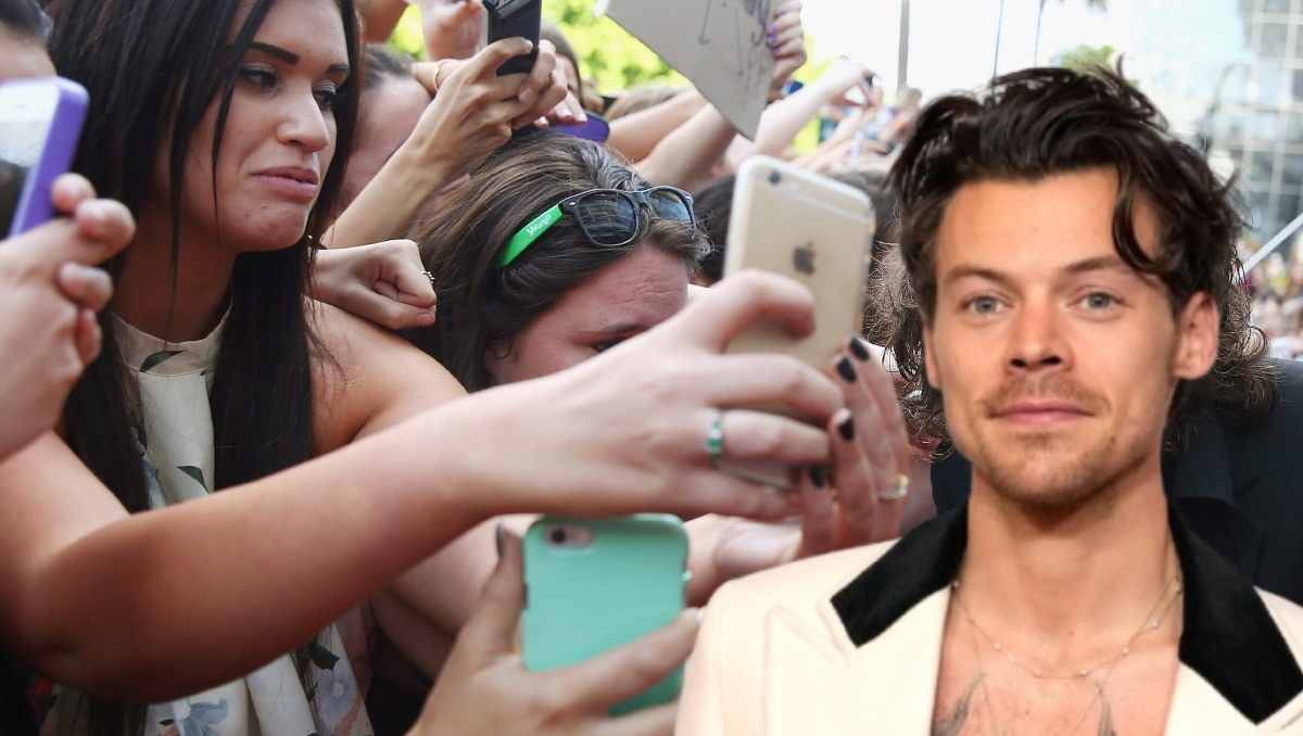 Fandom de Harry Styles