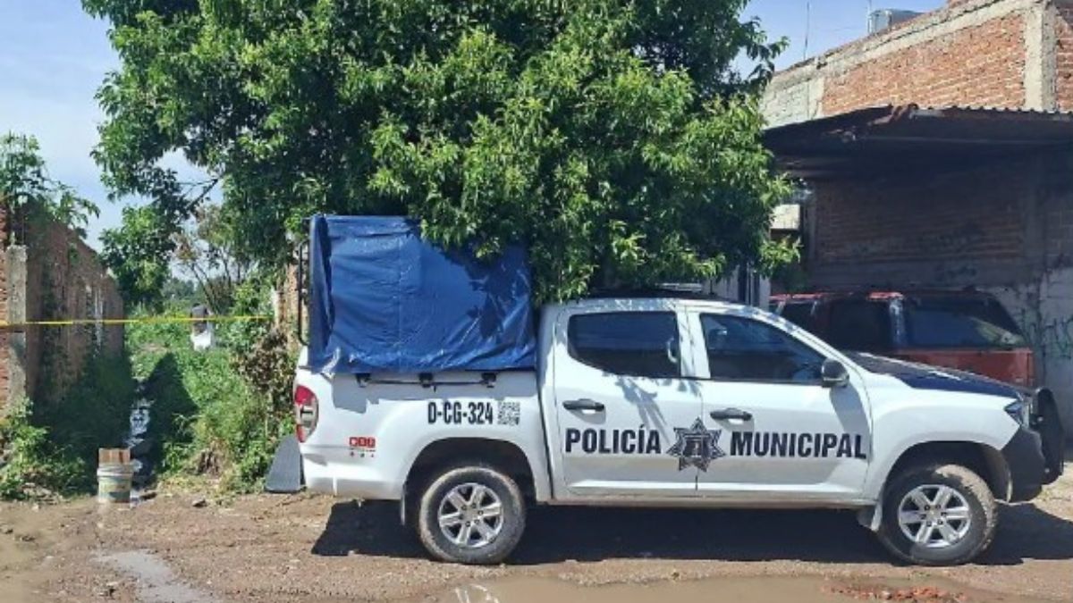 El hallazgo sucedió en la colonia Nuevo León. | Redes Sociales