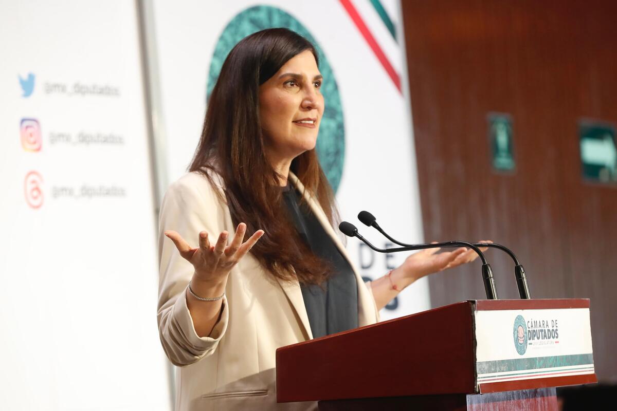 Kenia López alertó sobre las redacciones preocupantes del proyecto gubernamental. | Foto: Especial