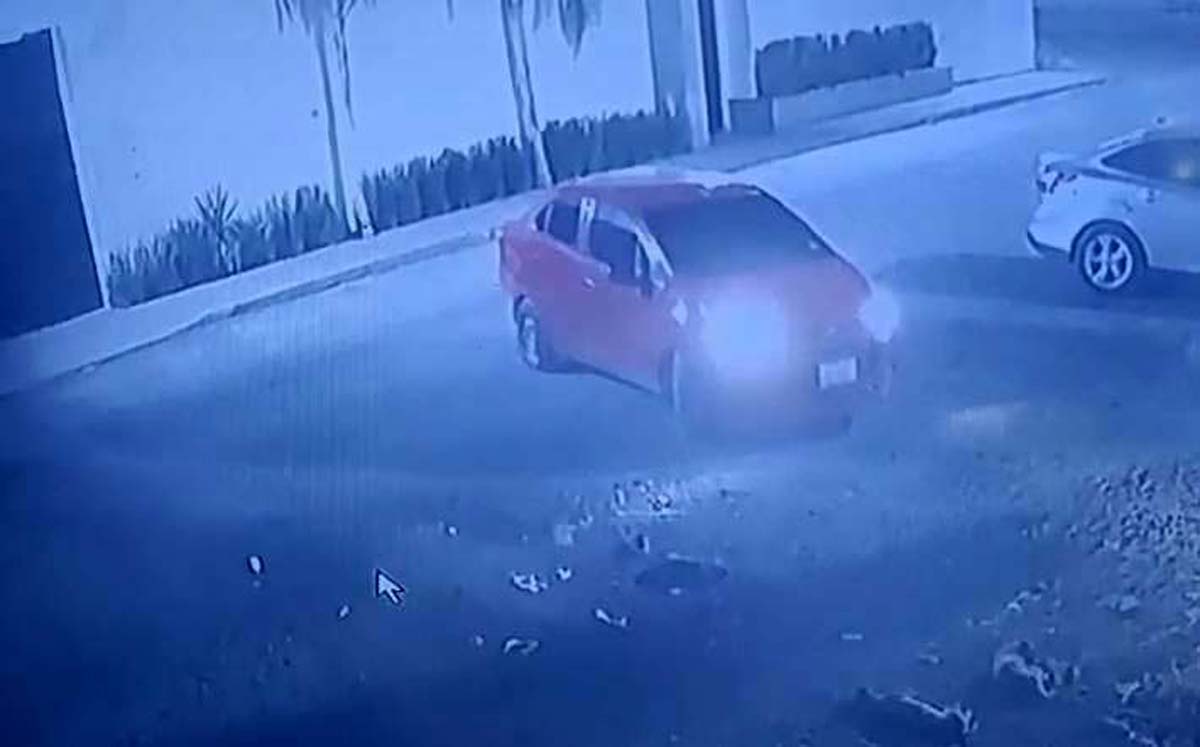 Perrito muere tras ser arrollado en Torreón. | Foto: Cortesía video redes sociales