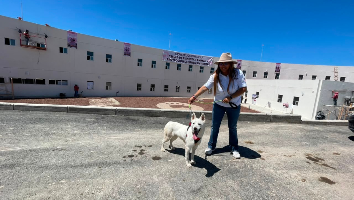 Atenderán hasta a mil 500 animal en Centro de Bienestar, Puebla | Especial