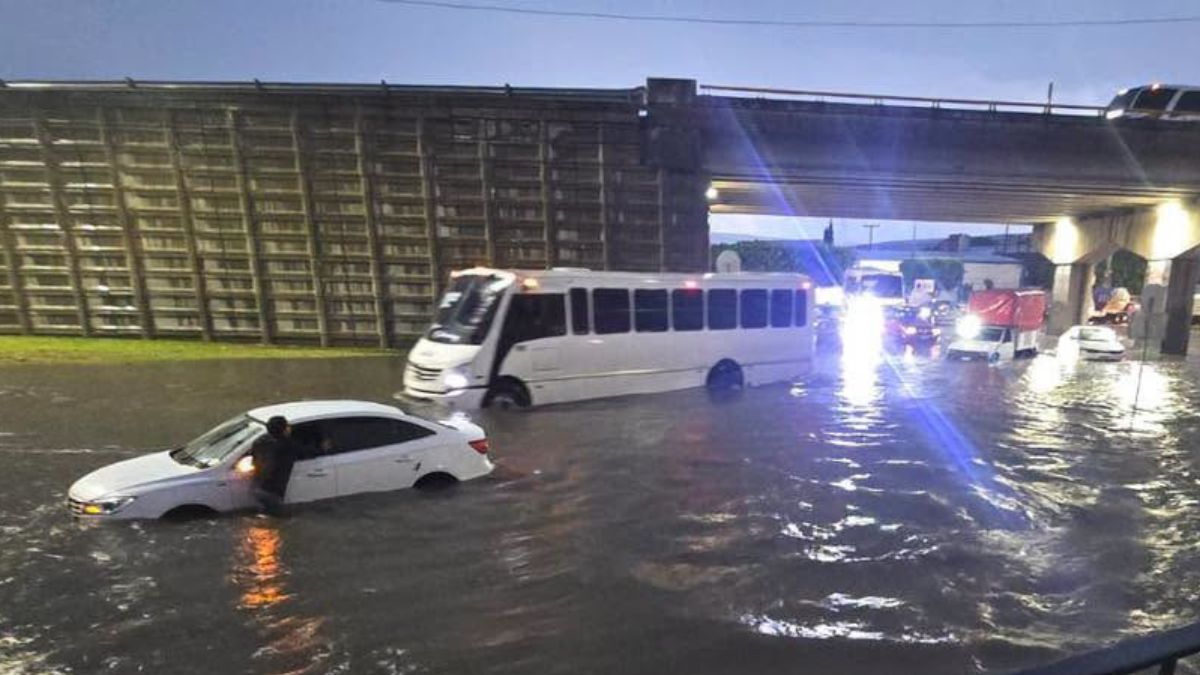 Decenas de automóviles quedaron descompuestos o inmovilizados. | Redes Sociales