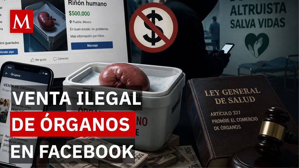 "No dono, todo cuesta": el mercado negro de órganos que crece en grupos de Facebook