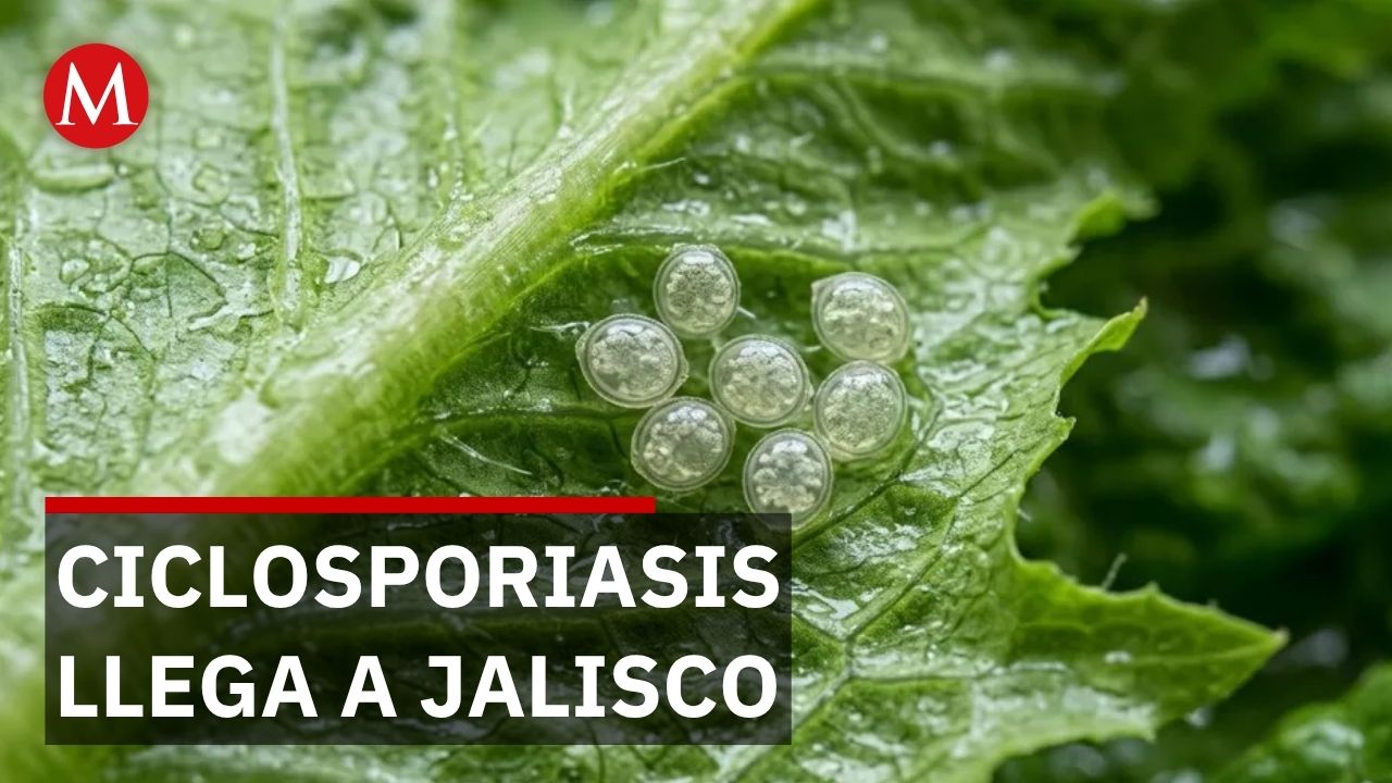 Jalisco confirma 2 casos de ciclosporiasis. Expertos afirman que no hay riesgo de contagio