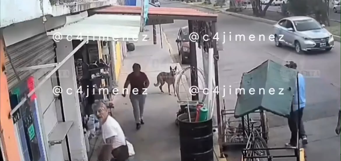 Todo comenzó con una discusión entre uno de los vecinos y el hombre que portada un machete. (Foto: especial)