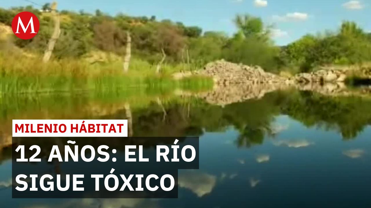 Grupo México: 12 años de contaminación en río Sonora sin reparación integral | Milenio Hábitat