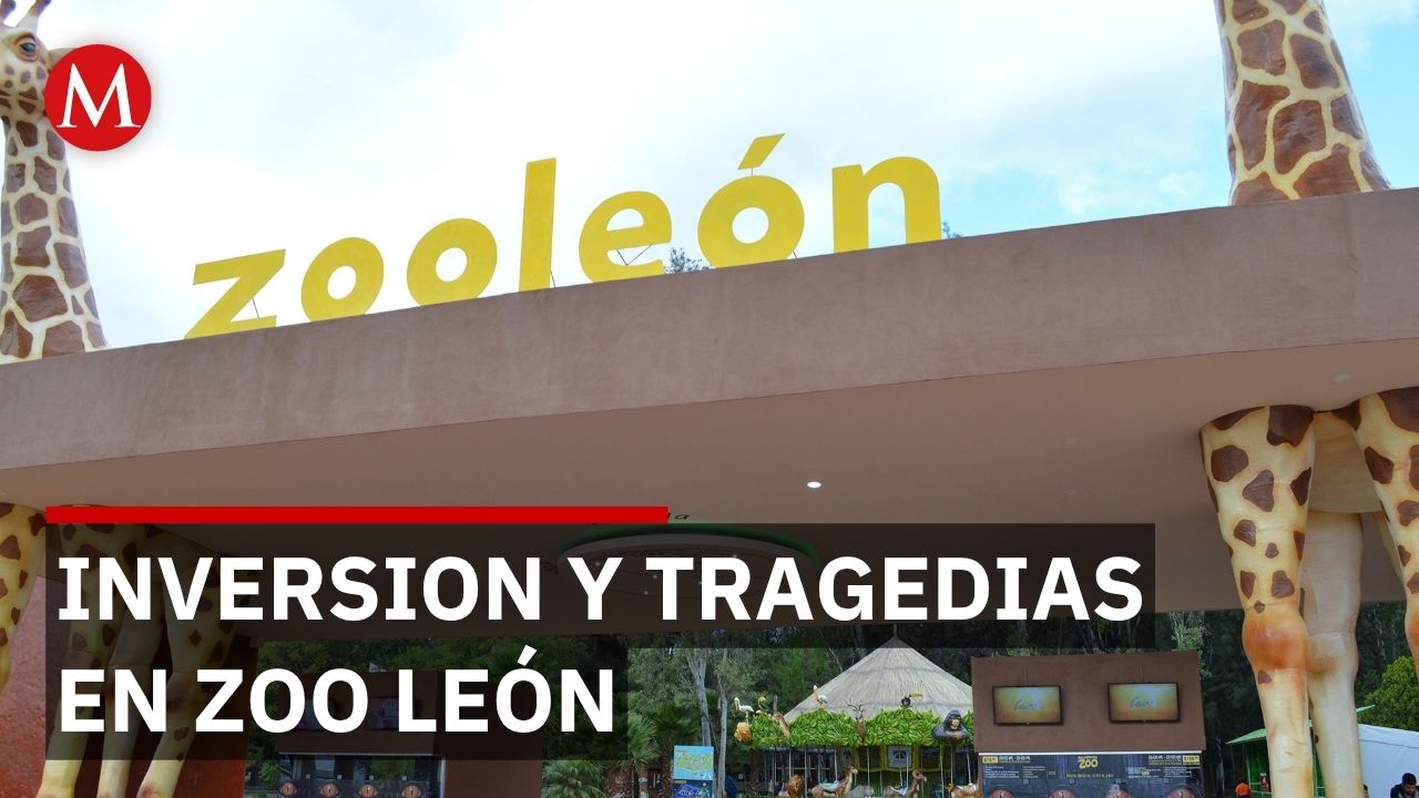 Zoológico de León invierte 2 millones en seguridad pero fauna sigue muriendo