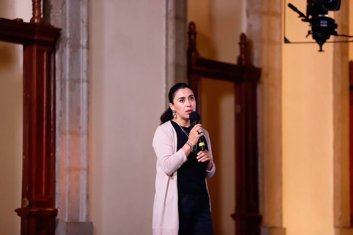 Ana Paulina Gómora, investigadora de la Facultad de Ingeniería de la UNAM | Foto: Ariana Pérez