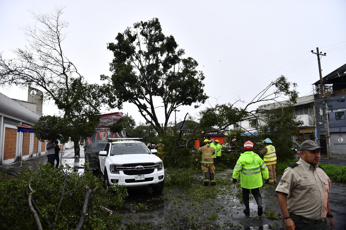 Lluvias en Guadalajara provocan más de 700 árboles sobre vehículos, viviendas y vialidades. | Foto: Cortesía