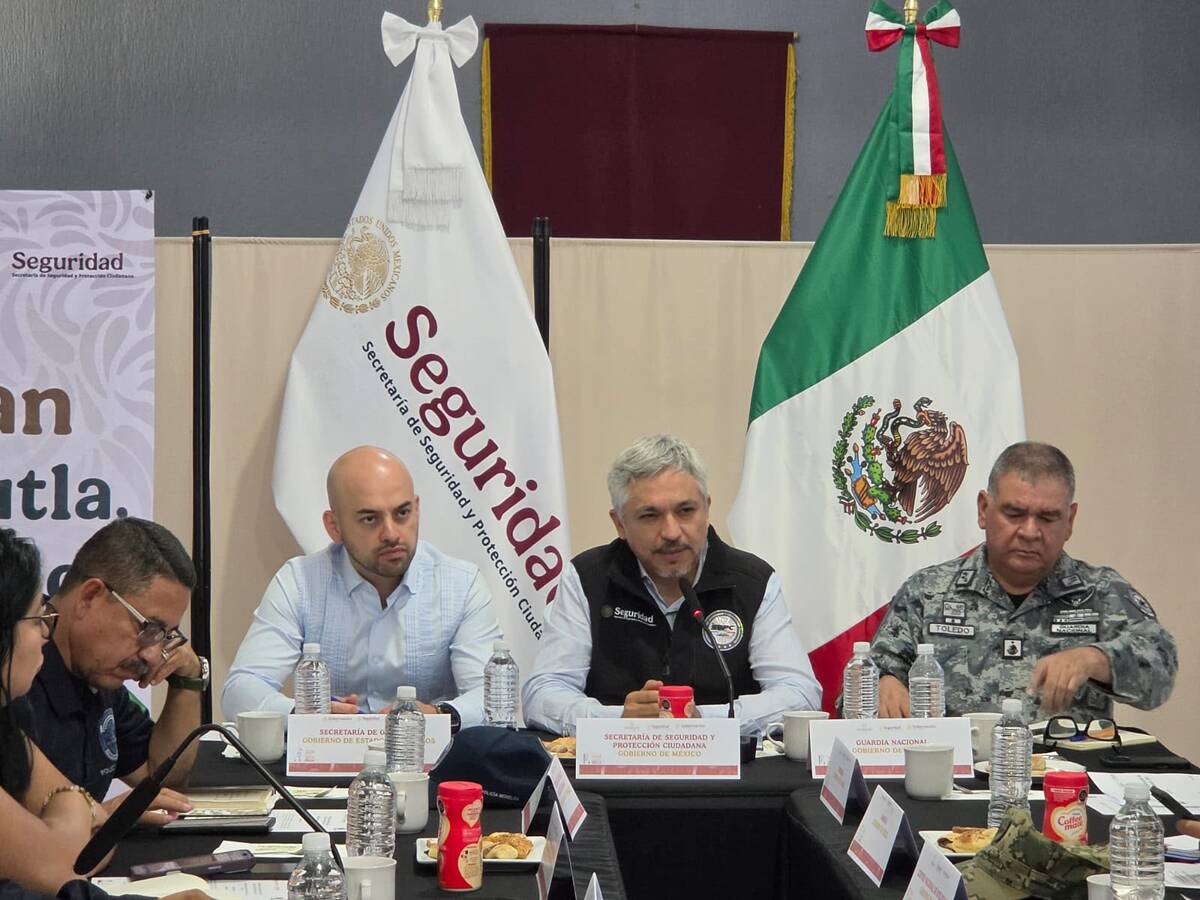 Subsecretario de Política Criminal, Vinculación y Protección Civil de la Secretaría de Seguridad y Protección Ciudadana.