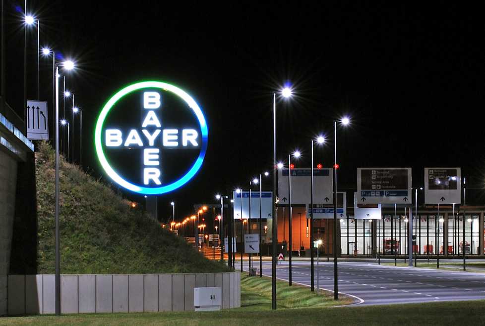 bayer