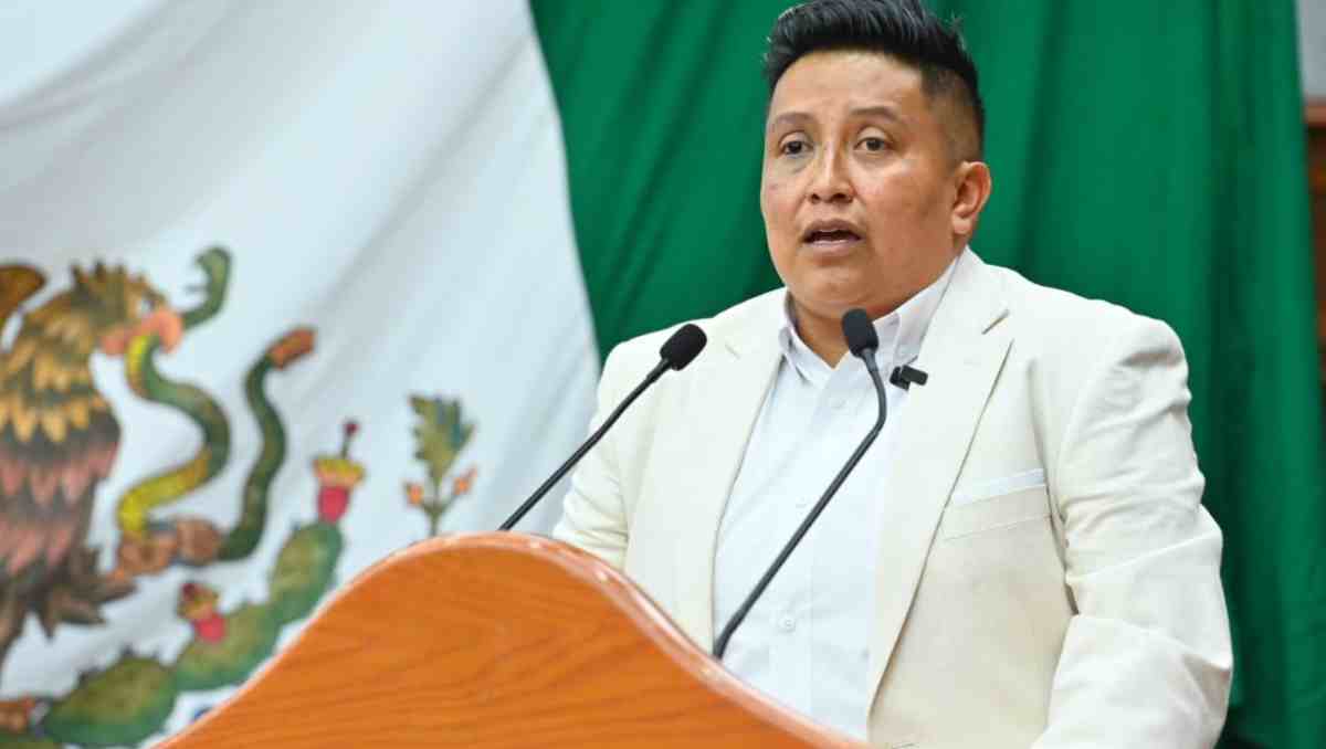 Le diputade Esmeralda Navarro propuso castigar la explotación infantil con hasta seis años de prisión. | Foto: Especial