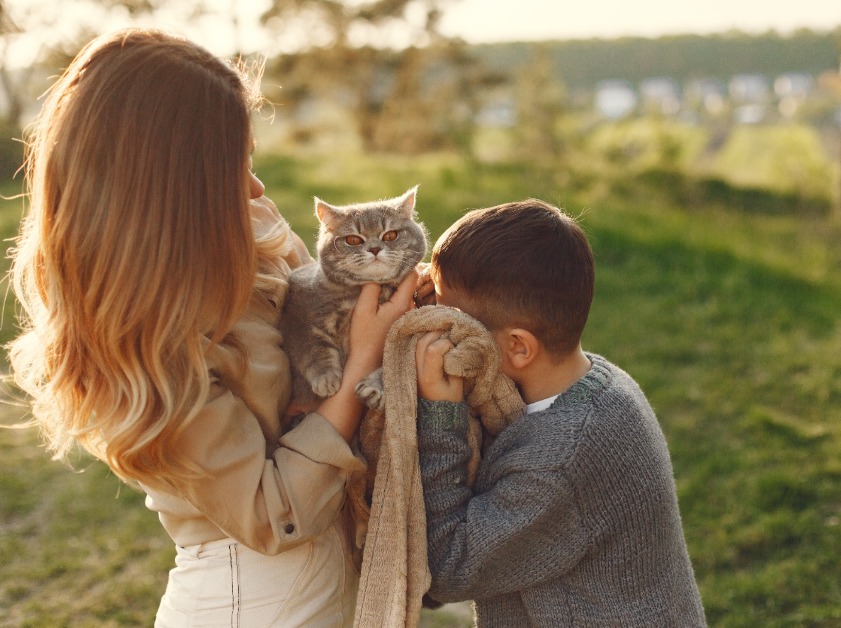 Los gatos ocupan un espacio cada vez mayor dentro del presupuesto familiar. | Foto: Freepik