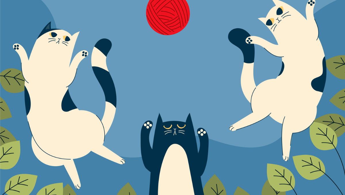 Los felinos se toman su tiempo para confiar en las personas | Especial