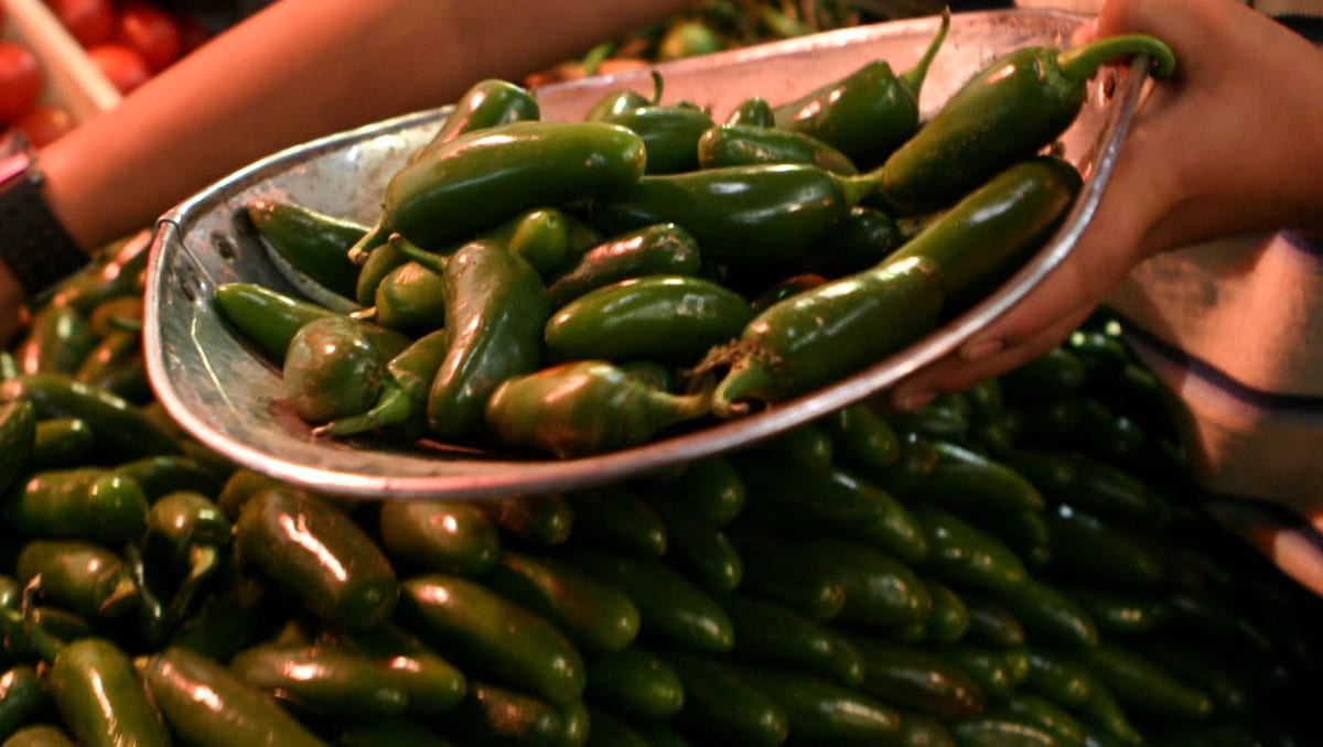 El gobierno de Estados Unidos vincula el brote a chiles introducidos por Coast Citrus Distributors. | Cuartoscuro