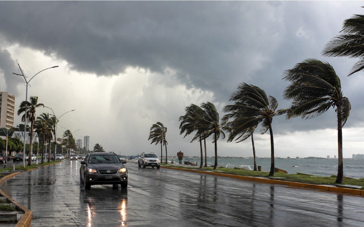 Lluvias fuertes y rachas de viento marcarán el clima en Tamaulipas. | Milenio IA