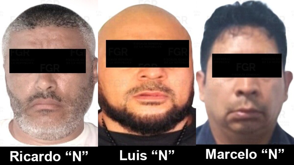 Ricardo 'N', Luis 'N' y Marcelo 'N' fueron detenidos en Jalisco, Guanajuato y Baja California. | Especial