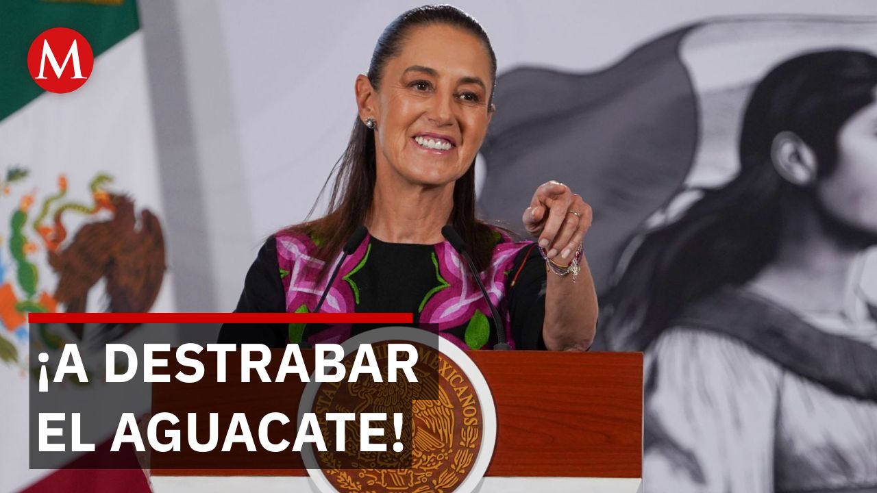 Sheinbaum anuncia cumbre con EU para destrabar el comercio del aguacate
