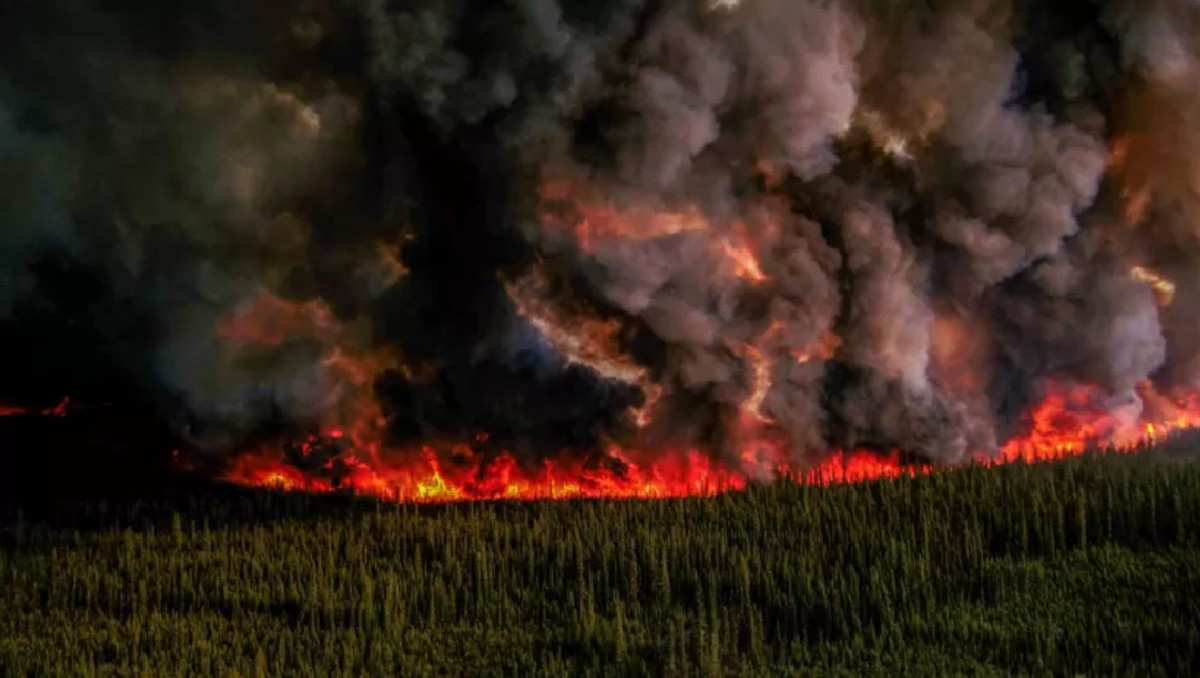 Brigadas de México, Australia, Francia y Nueva Zelanda colaboran en las tareas de combate al fuego. | Foto: Reuters
