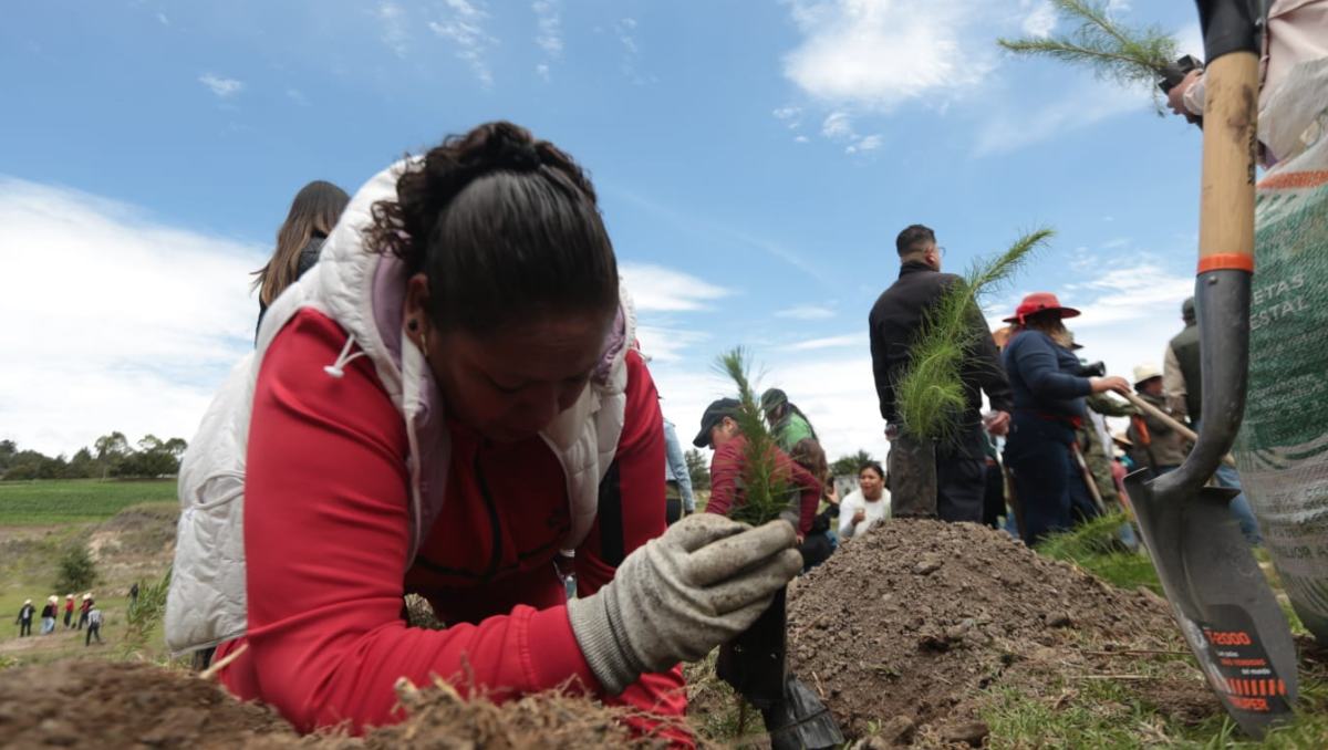 Delfina Gómez participará este domingo en Temoaya en la Jornada Nacional de Reforestación, impulsada por Sheinbaum. | foto: Especial