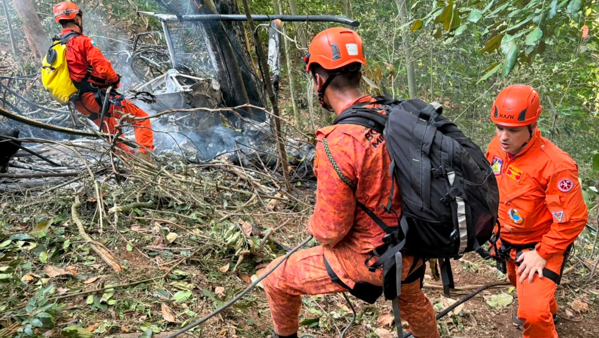 El desplome ocurrió cerca del mirador Vista China, en un terreno boscoso de difícil acceso. | Foto: EFE