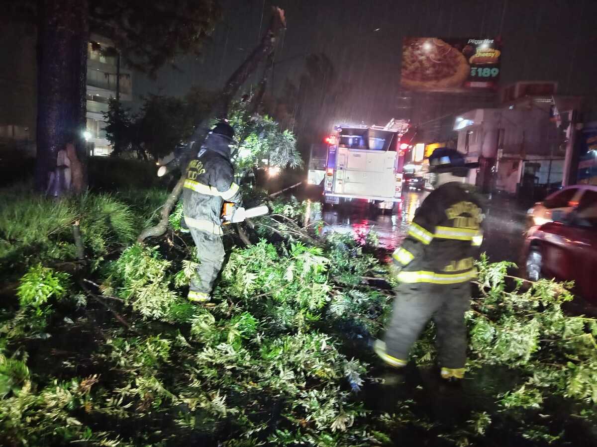 Tras la lluvia del viernes, equipos de emergencia atendieron afectaciones y reportes para garantizar la seguridad en Toluca. | Foto: Especial