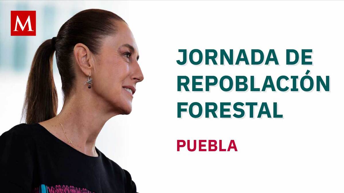 Claudia Sheinbaum encabeza Jornada Nacional de Reforestación en San Nicolás de los Ranchos, Puebla