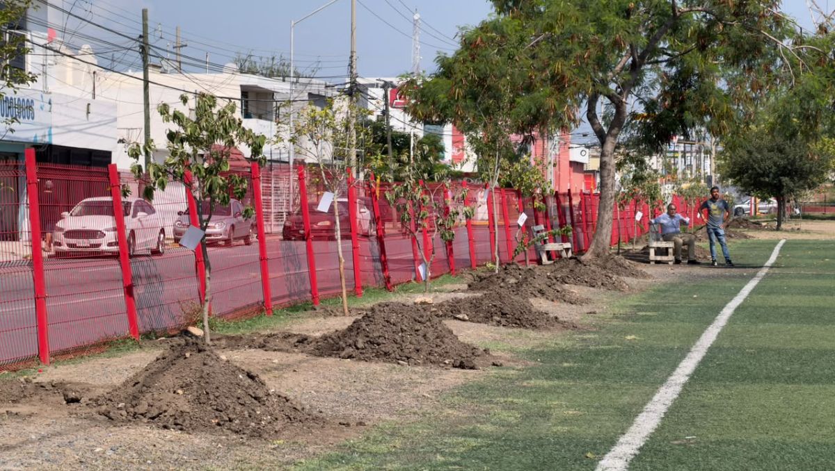 Escobedo continúa con sus acciones de arborización en parques, avenidas y camellones | Ángel Mercado