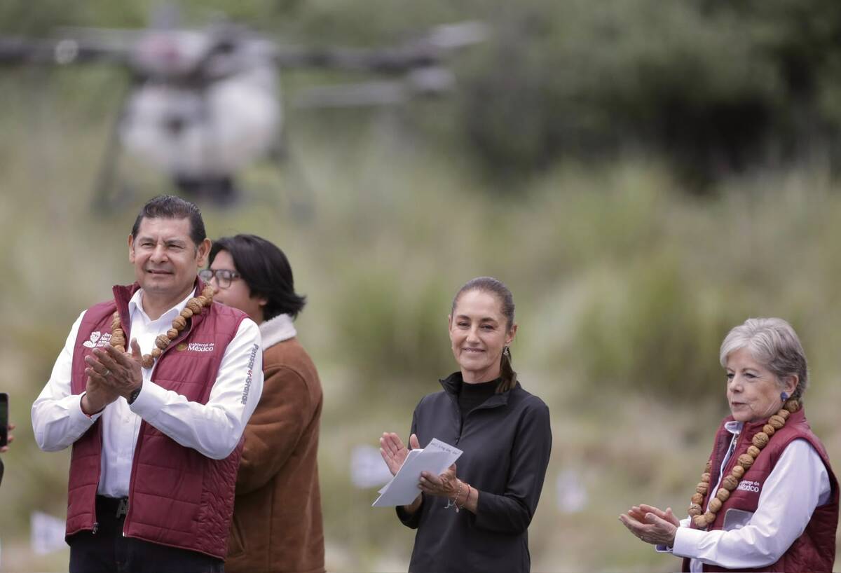 Jornada de reforestación coincide con el Día Nacional de los Pueblos Indígenas. Foto: Ariel Ojeda