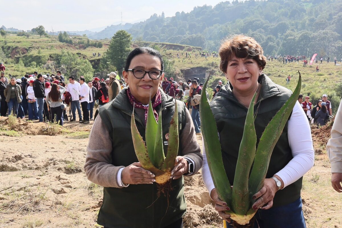 Se integrará mil 632 núcleos agrarios | X: @rosaicela_