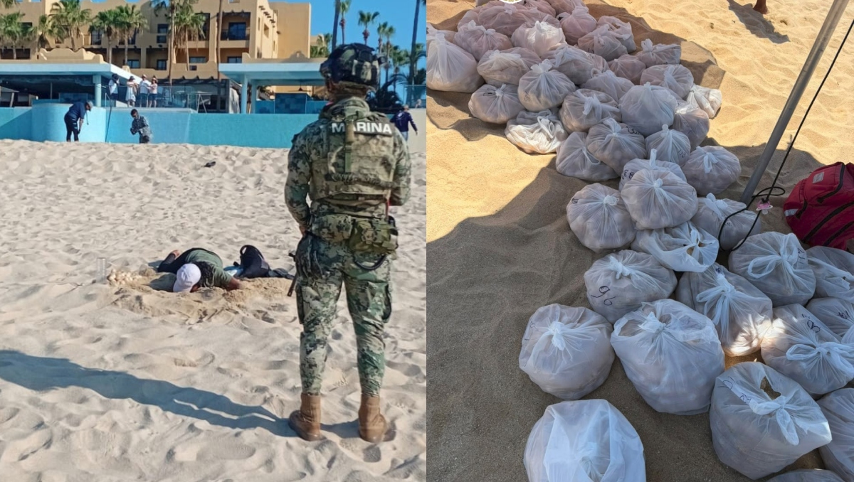 Se logró la recuperación de aproximadamente 10 mil huevos, | Especial