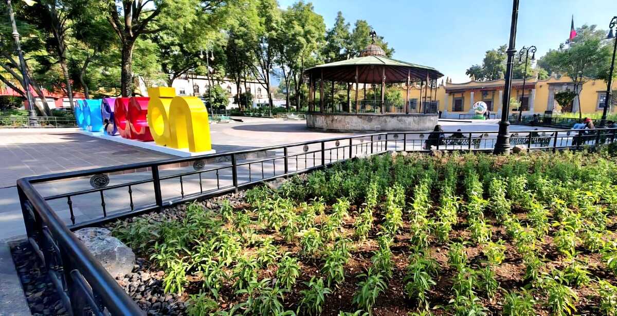 El tradicional Jardín Hidalgo de Coyoacán fue remodelado con flora aromática para atraer especies polinizadoras| Foto:Especial