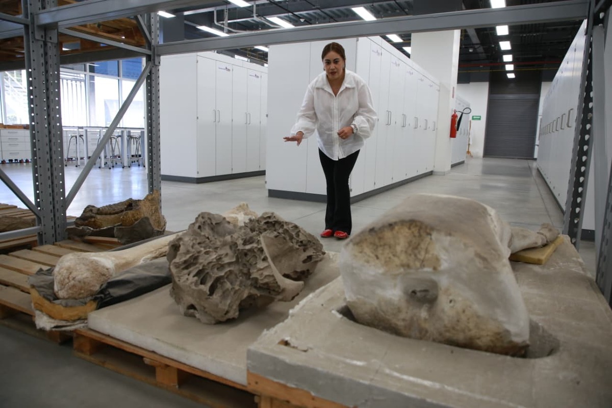 La universidad reconoce que existe mucho más material pendiente de catalogación. (Jorge Sánchez)