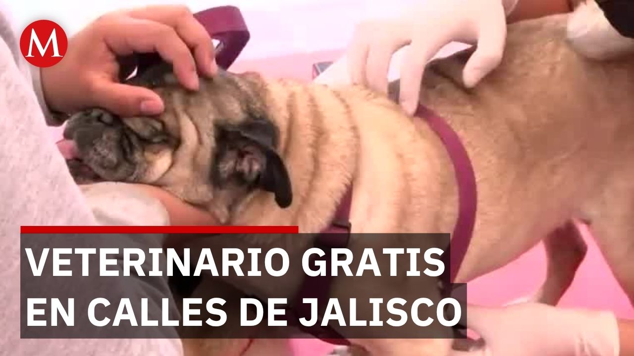 Caravana de Salud Animal ofrece servicios veterinarios gratuitos cada viernes en Zapopan, Jalisco