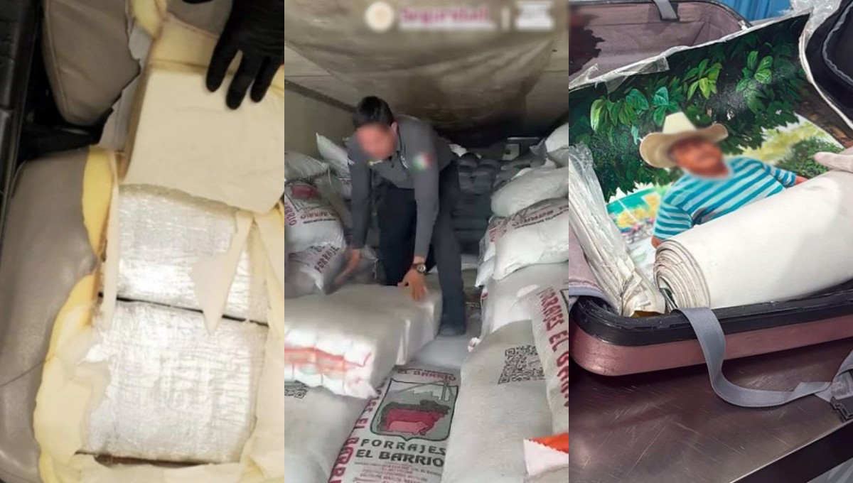 La droga ha sido detectada mediante el uso de rayos X, binomios caninos y pruebas químicas. | Especial