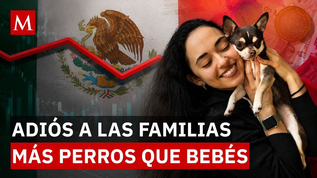 El impacto de la caída de natalidad en México