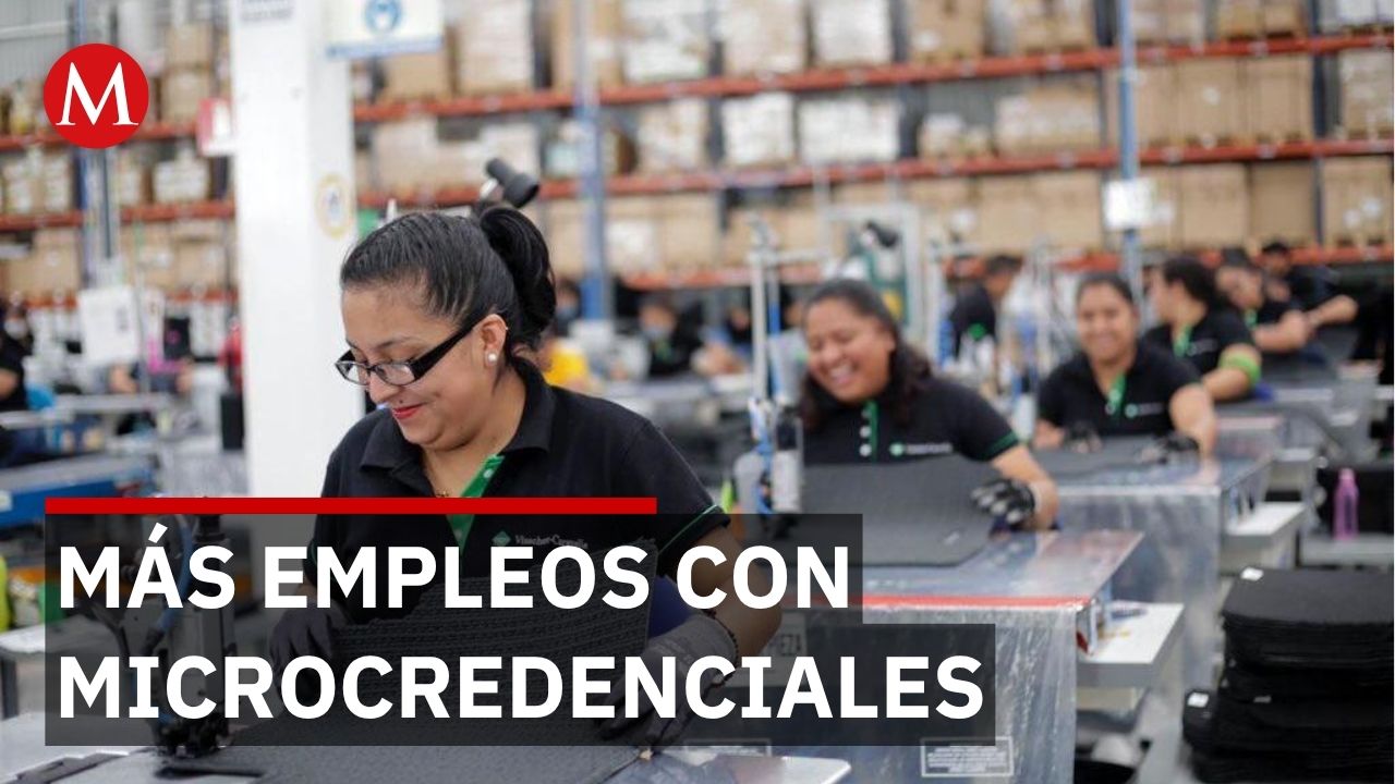 Guanajuato crea empleos con microcredenciales ante amenaza de IA