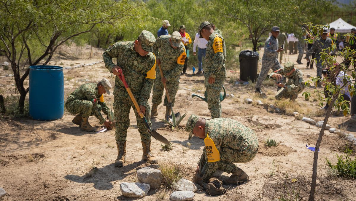 El pasado domingo comenzó una jornada de reforestación impulsada por el Gobierno federal. Cortesía: Gobierno de Nuevo León