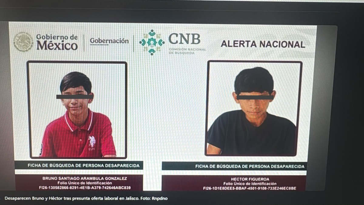 Ficha de desaparición sobre los menores, victimas de reclutamiento forzado. | Foto: @GuerrerosJalisc