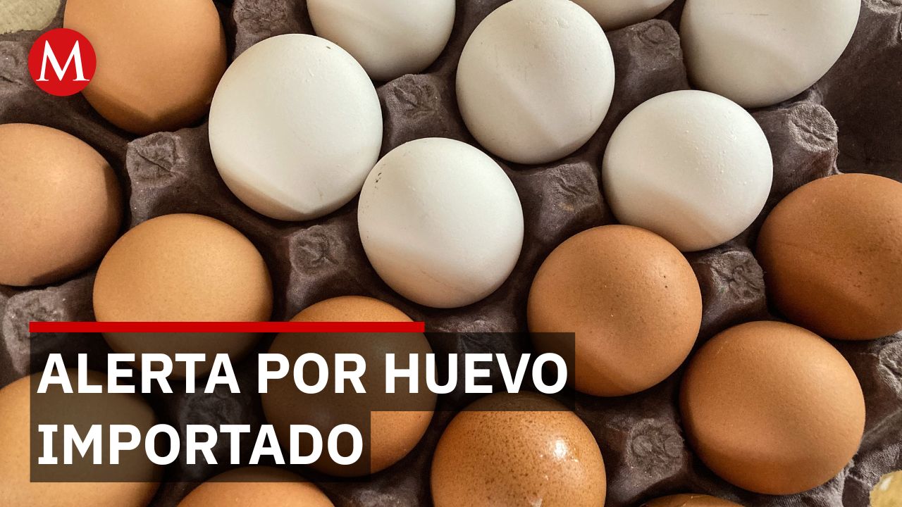 Huevo importado: avicultores piden revisar frescura y procedencia del producto