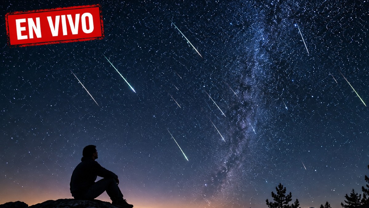 Sigue las últimas noticias del máximo de Perseidas en tiempo real | IA DISCOVER