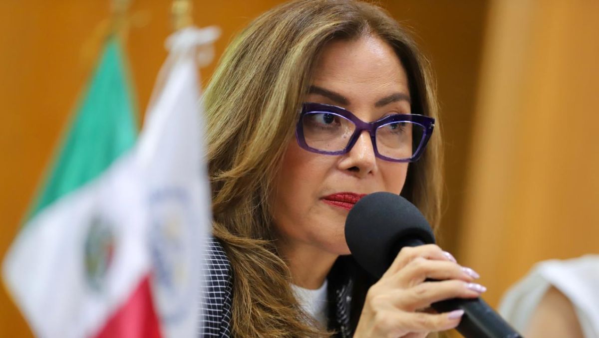 Olga Susana Méndez Arellano indicó que si las organizaciones reducen personal atenderían a menos personas. | Roberto Alanís