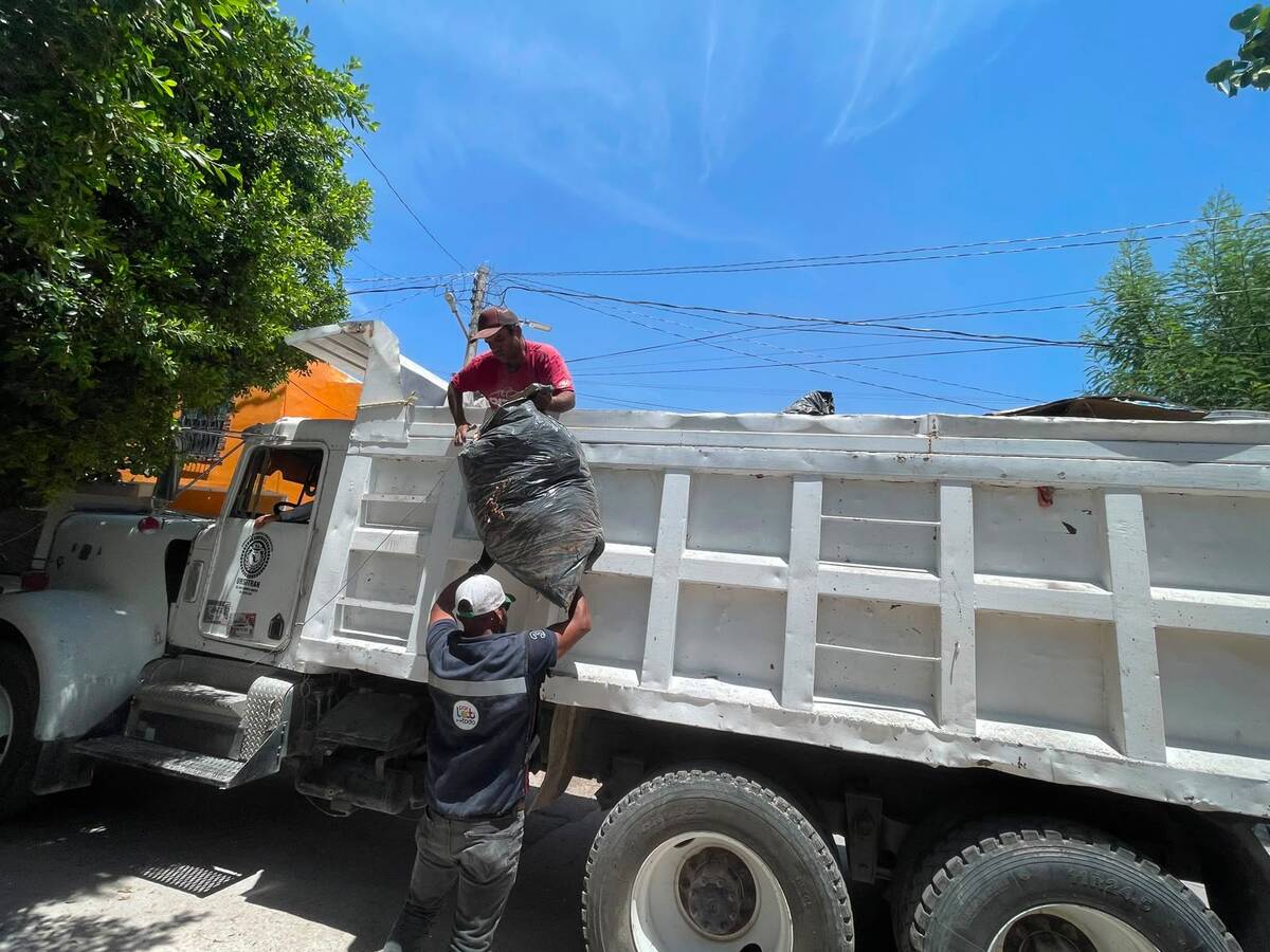 Realizan trabajos de ordenamiento y limpieza en colonia Lucio Cabañas en Lerdo. | Luis Alatorre.