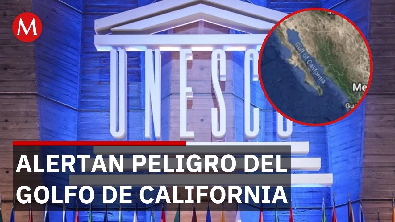 Unesco mantiene alerta: proyectos de gas estadunidense amenazan Golfo de California