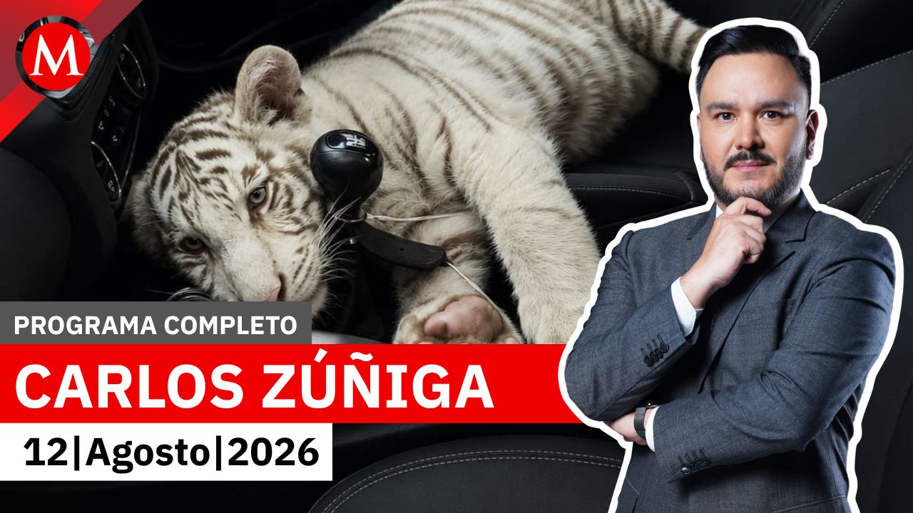 Aseguran a cachorro de tigre de Bengala en Iztapalapa | Carlos Zúñiga, 12 de agosto de 2026